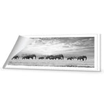 Elephant Trail , B&W