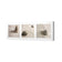 Sand Stone White Montage