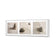 Sand Stone White Montage