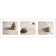 Sand Stone White Montage