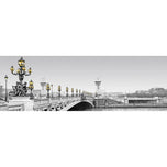 Paris Bridge, B&W with lights
