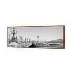 Paris Bridge, B&W with lights
