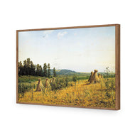 Ivan Shishkin - Field and Forest