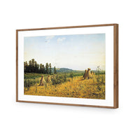 Ivan Shishkin - Field and Forest