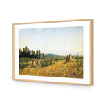 Ivan Shishkin - Field and Forest