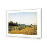 Ivan Shishkin - Field and Forest