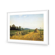 Ivan Shishkin - Field and Forest