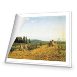 Ivan Shishkin - Field and Forest