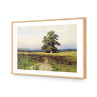 Ivan Shishkin - Lonely Oak Tree