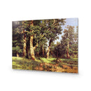 Ivan Shishkin - Pine Tree on Sand Dune