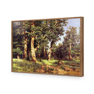 Ivan Shishkin - Pine Tree on Sand Dune