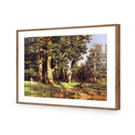 Ivan Shishkin - Pine Tree on Sand Dune