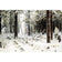 Winter Snow By Ivan Shishkin