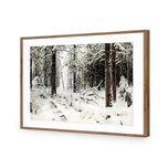 Winter Snow By Ivan Shishkin