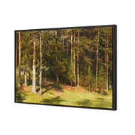 Woodland Sunshine By Ivan Shishkin