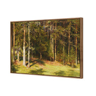 Woodland Sunshine By Ivan Shishkin