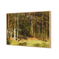 Woodland Sunshine By Ivan Shishkin