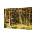 Woodland Sunshine By Ivan Shishkin