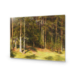 Woodland Sunshine By Ivan Shishkin