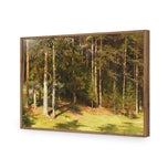 Woodland Sunshine By Ivan Shishkin