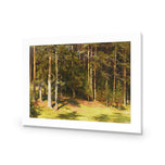 Woodland Sunshine By Ivan Shishkin