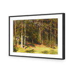 Woodland Sunshine By Ivan Shishkin