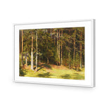 Woodland Sunshine By Ivan Shishkin