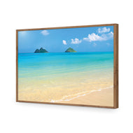 Idyllic Beach Mountains