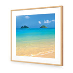 Idyllic Beach Mountains