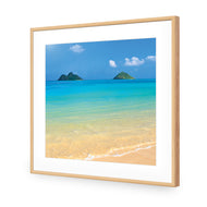 Idyllic Beach Mountains