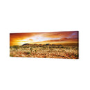 Australian Outback Sunset