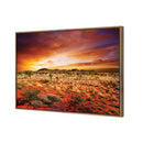 Australian Outback Sunset