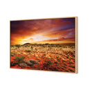 Australian Outback Sunset