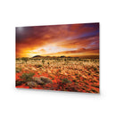 Australian Outback Sunset