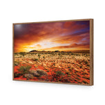 Australian Outback Sunset