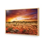 Australian Outback Sunset