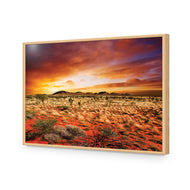 Australian Outback Sunset