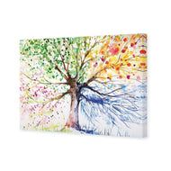 Rainbow Tree