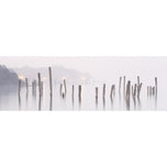 Misty Sticks
