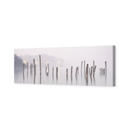 Misty Sticks