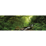 Romantic Rainforest