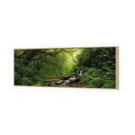 Romantic Rainforest