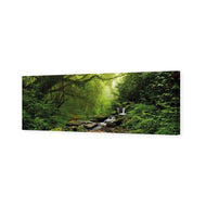 Romantic Rainforest
