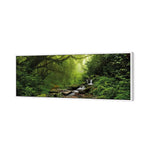 Romantic Rainforest