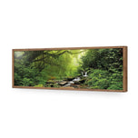 Romantic Rainforest