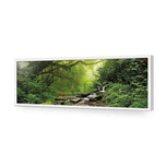 Romantic Rainforest