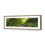 Romantic Rainforest
