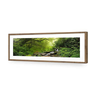 Romantic Rainforest