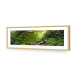 Romantic Rainforest