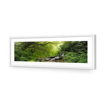 Romantic Rainforest